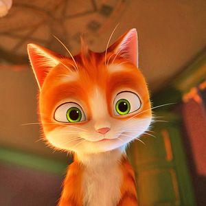 Fotoğraf Büyüler Evi: Sihirbaz Kedi