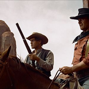 Fotoğraf Çöl Aslanı