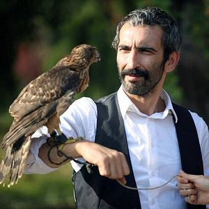 Fotoğraf Karınca Kapanı