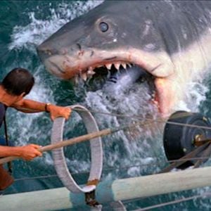 Fotoğraf Jaws