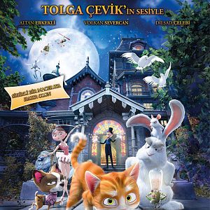 Fotoğraf Büyüler Evi: Sihirbaz Kedi