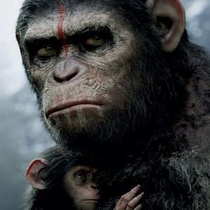 Fotoğraf Maymunlar Cehennemi: Şafak Vakti