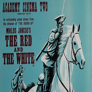 Fotoğraf Kızıl ve Beyaz