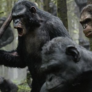 Fotoğraf Maymunlar Cehennemi: Şafak Vakti