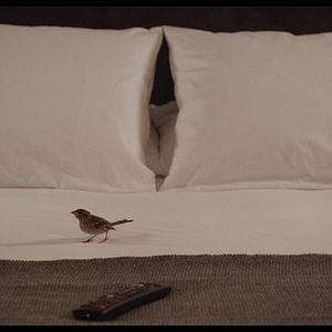 Fotoğraf Bird People