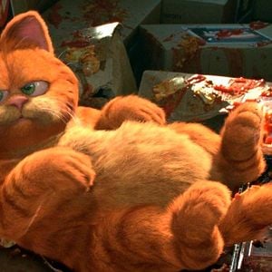Fotoğraf Garfield