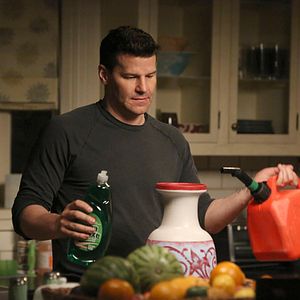 Fotoğraf David Boreanaz