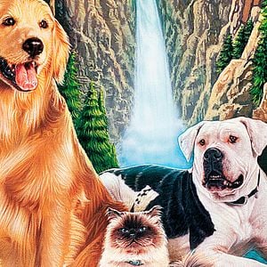 Fotoğraf Hoomeward Bound : The Incredible Journey