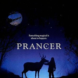 Fotoğraf Prancer