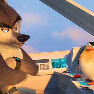 Fotoğraf Madagaskar Penguenleri