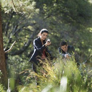 Fotoğraf Angie Harmon