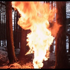 Fotoğraf Under the Skin