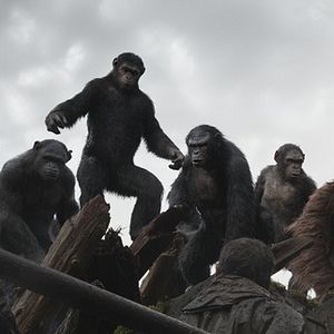 Fotoğraf Maymunlar Cehennemi: Şafak Vakti