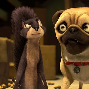 Fotoğraf Fındık İşi