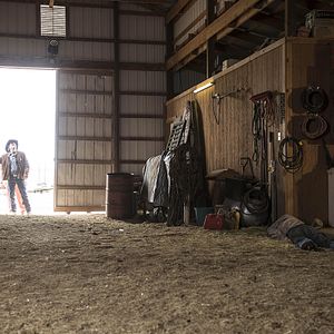 Fotoğraf Robert Taylor (II)