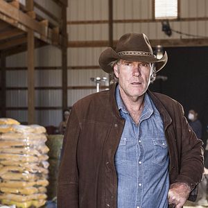 Fotoğraf Robert Taylor (II)