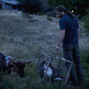 Fotoğraf Vahşi Yaşam