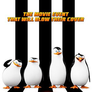 Fotoğraf Madagaskar Penguenleri