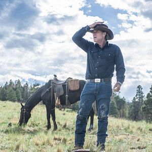 Fotoğraf Robert Taylor (II)