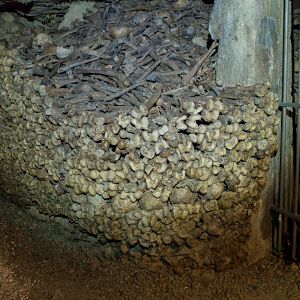 Fotoğraf Derin Kabus