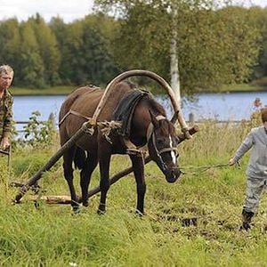 Fotoğraf Belye nochi pochtalyona Alekseya Tryapitsyna