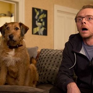 Fotoğraf Absolutely Anything