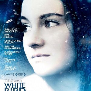 Fotoğraf Karda Bir Beyaz Kuş