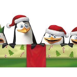 Fotoğraf Madagaskar Penguenleri