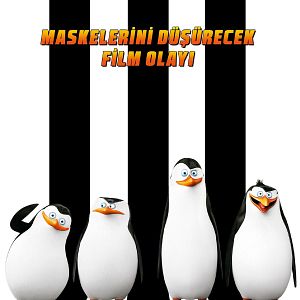 Fotoğraf Madagaskar Penguenleri