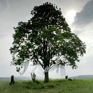 Fotoğraf Never Die Young