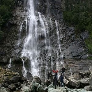 Fotoğraf Yağmur: Kıyamet Çiçeği