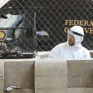 Fotoğraf T.J. Thyne