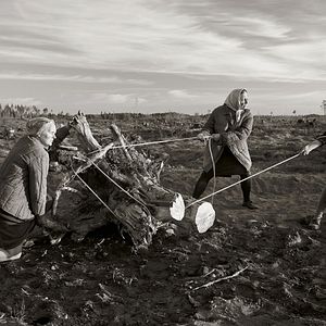 Fotoğraf Rüzgarların Arasında
