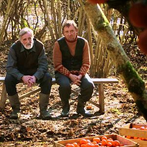 Fotoğraf Mandalinalar