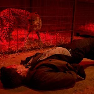 Fotoğraf Nikolaj Lie Kaas