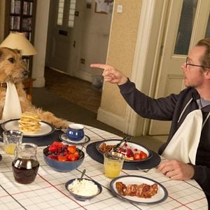 Fotoğraf Absolutely Anything