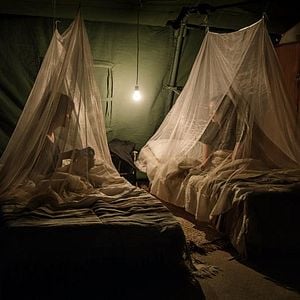 Fotoğraf Binlerce Kez İyi Geceler