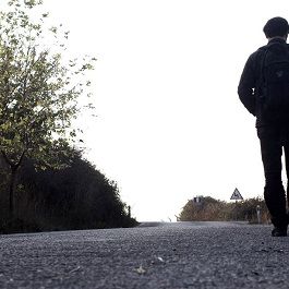 Fotoğraf Asfalt Çiçekleri