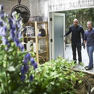 Fotoğraf Chris O'Donnell