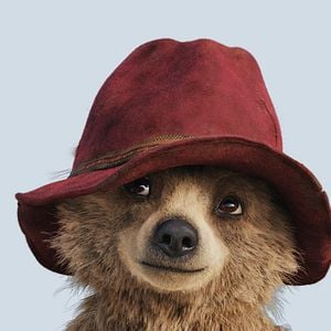 Fotoğraf Ayı Paddington