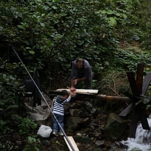 Fotoğraf Kırlangıçlar Susamışsa