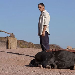 Fotoğraf İnsanlıktan Uzakta