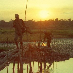 Fotoğraf Concerning Violence