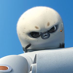 Fotoğraf Madagaskar Penguenleri