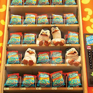 Fotoğraf Madagaskar Penguenleri