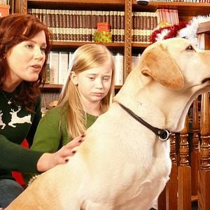 Fotoğraf Elisa Donovan