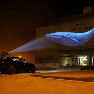 Fotoğraf Racing Extinction
