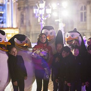 Fotoğraf Madagaskar Penguenleri