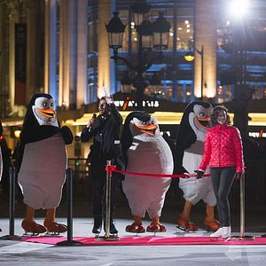 Fotoğraf Madagaskar Penguenleri