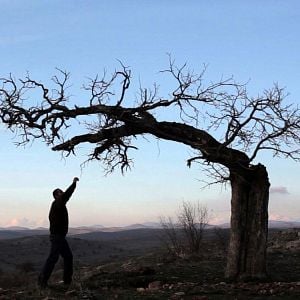 Fotoğraf Gittiler: Sair ve Meçhul